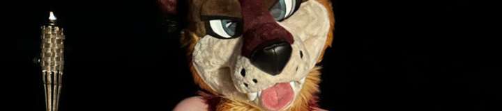 levisheppy