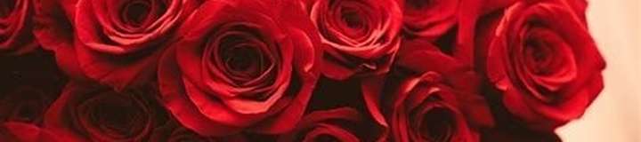 rosepxoxo98