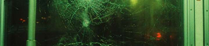 rotten_ronin