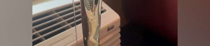 thegellady
