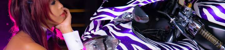 zebra_zx10r
