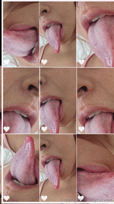 tabycatxoxo's profile image