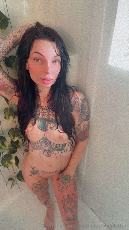 thelittletattooedkitten's profile image