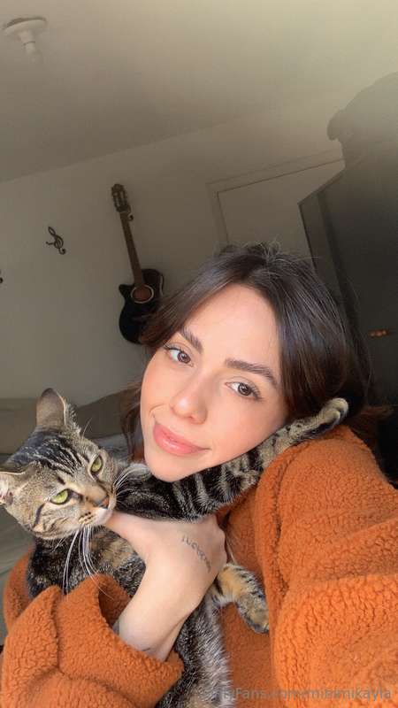 when you try a new food for your cat, and now you’re getting..
