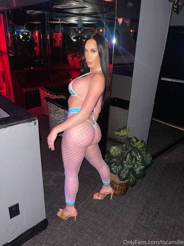 tscamille