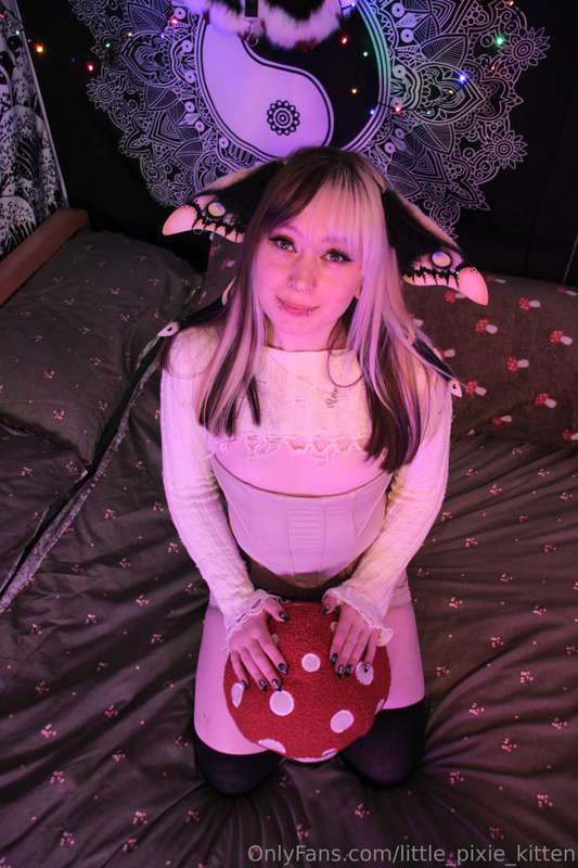 little_pixie_kitten image #2