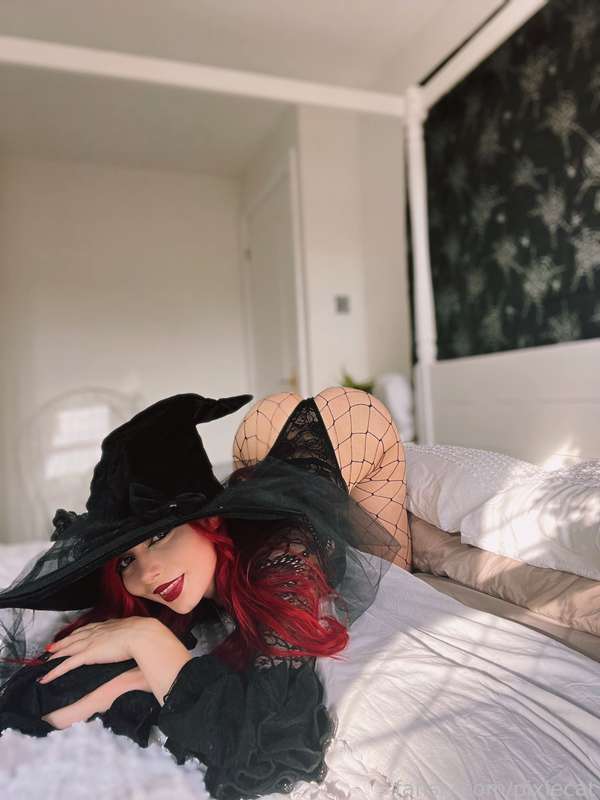 pixiecat image #14