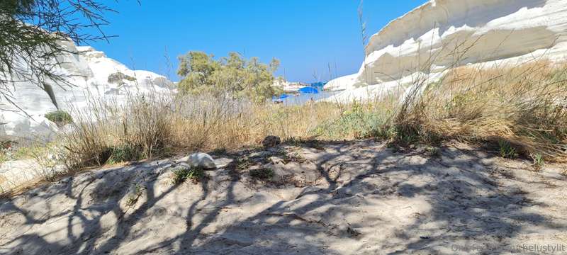 Alla spiaggia Alessia si è messa in topless, Brody nudo con ..
