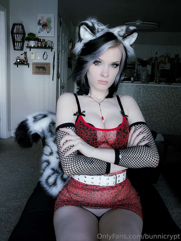 bunnicrypt image #3