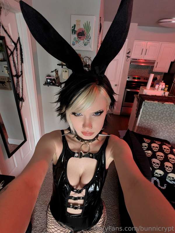 bunnicrypt image #9