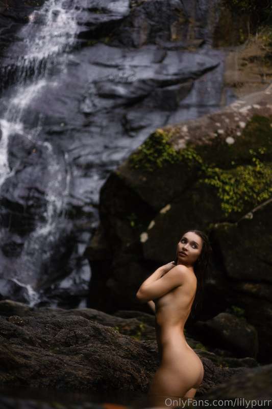 lilypurr