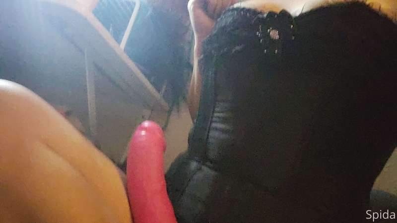 queenspida image #1