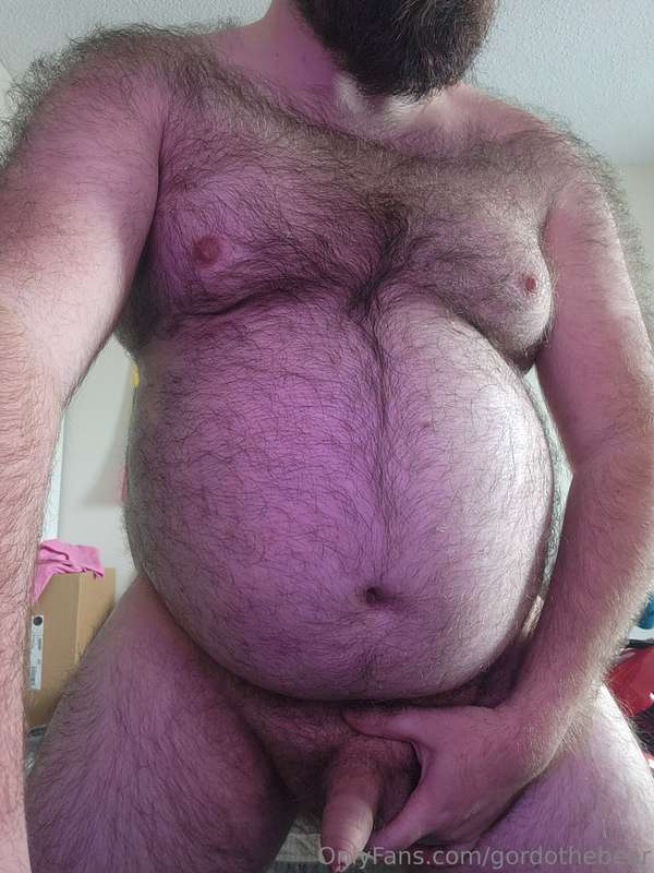 gordothebear