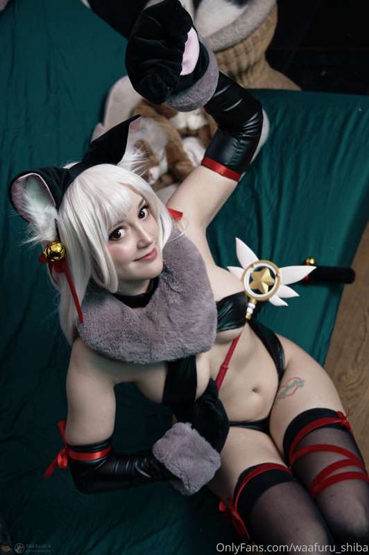 waafuru_shiba