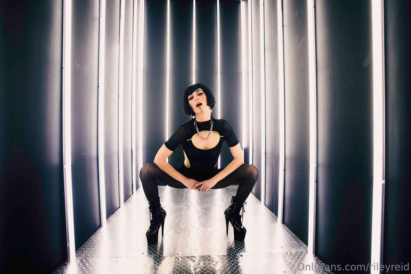 Foto 295 von Riley Reid auf Tocromo