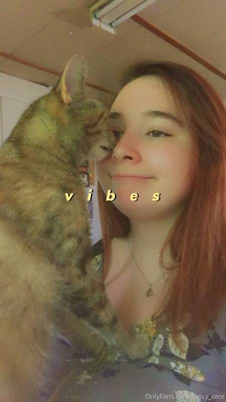 Kitty photo bomb
