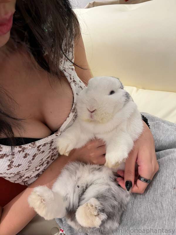 bunnyyy he looks so scared😭🤣