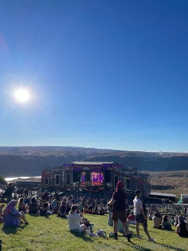 media