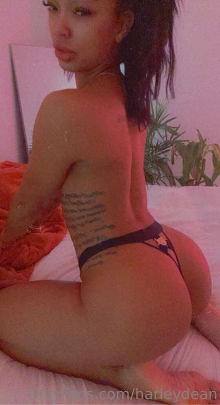 Photo 324 of Harley Dean on Tocromo