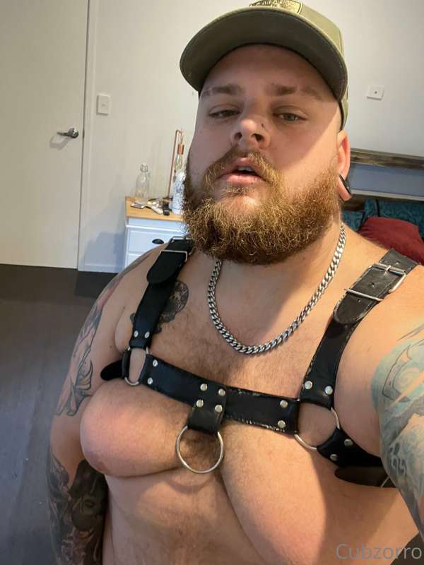 cubzorro