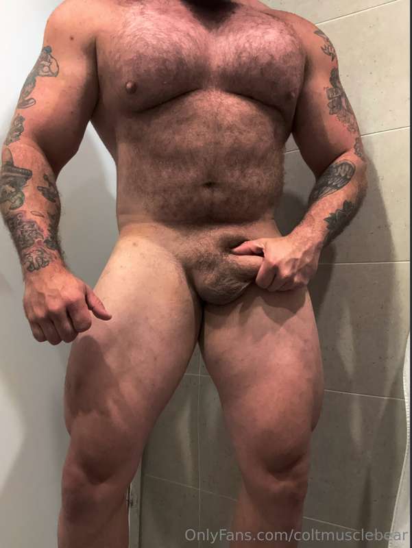 coltmusclebear