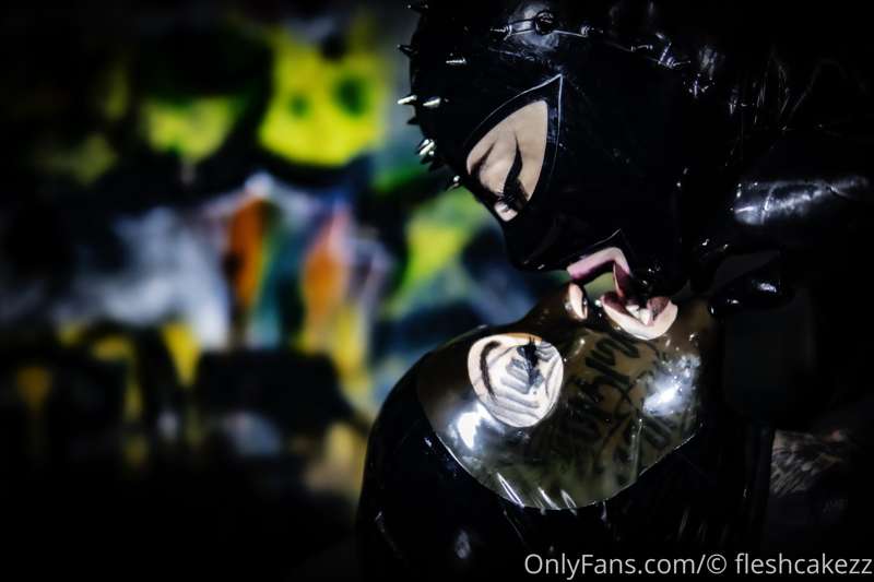 fleshcakezz