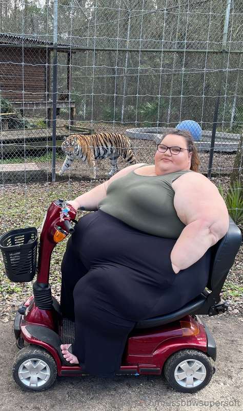 ussbbwsupersoft