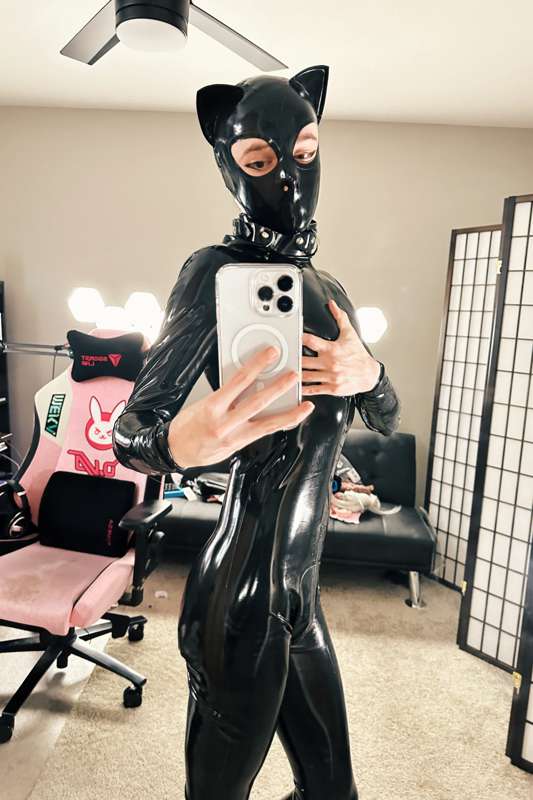 catboiaoi image #4