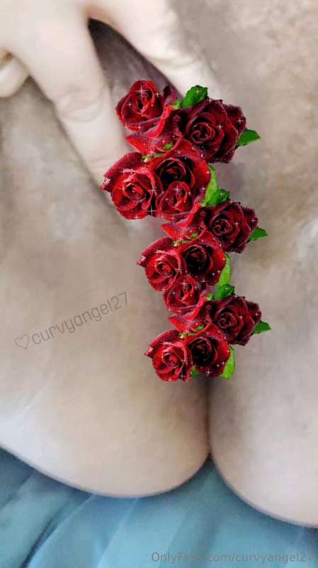 Petals of passion ⚘❤