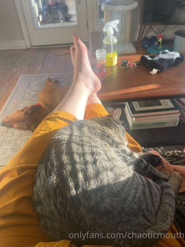 pussy n toes