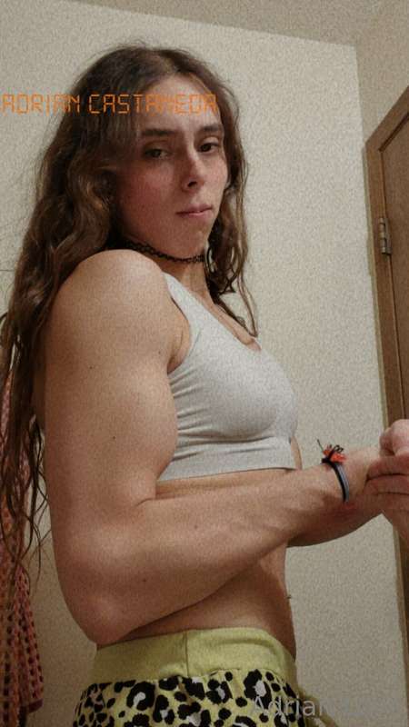 media