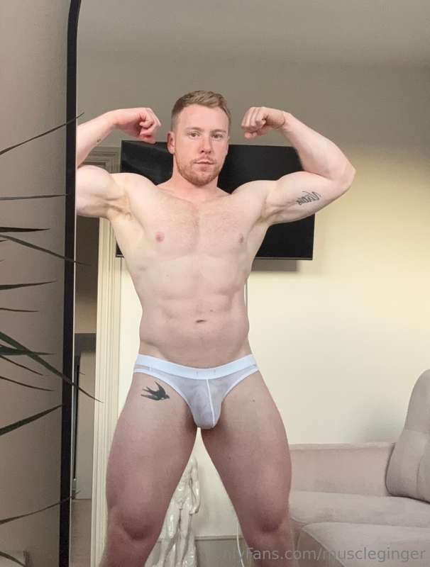 muscleginger image #0