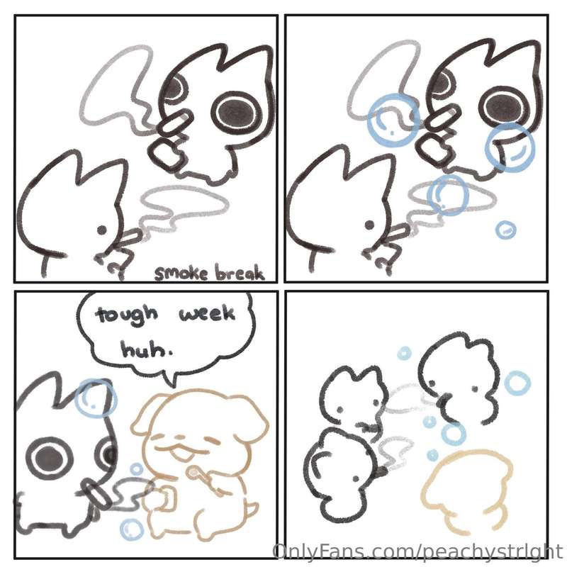 media