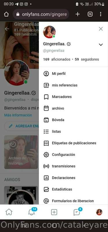 https://onlyfans.com/gingerellaa
