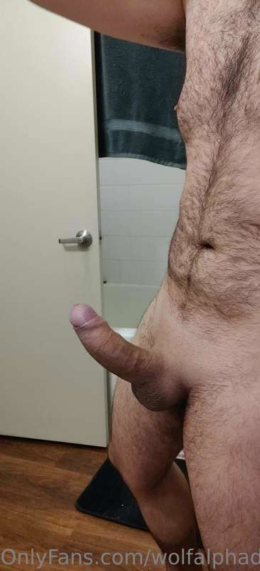 wolfalphaddy image #2