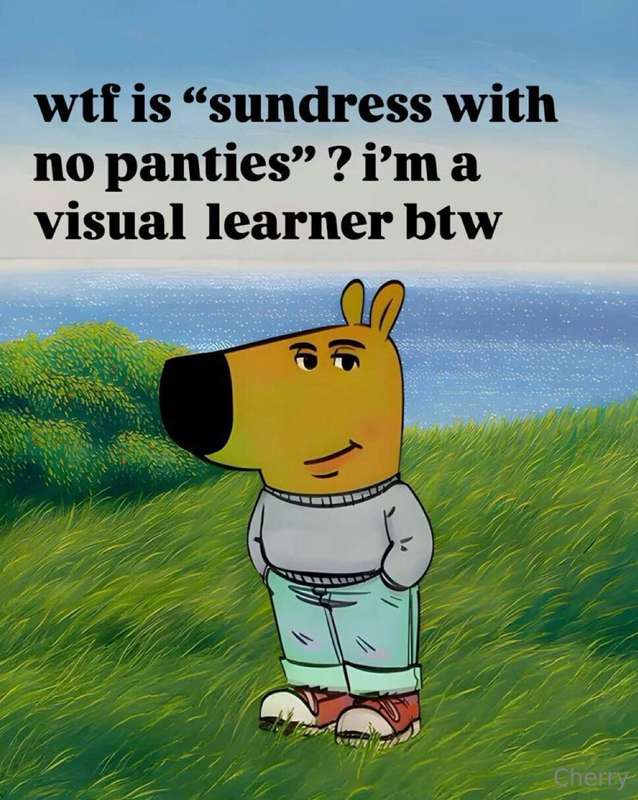 media
