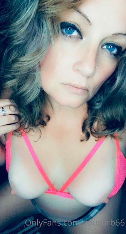 cougarb66