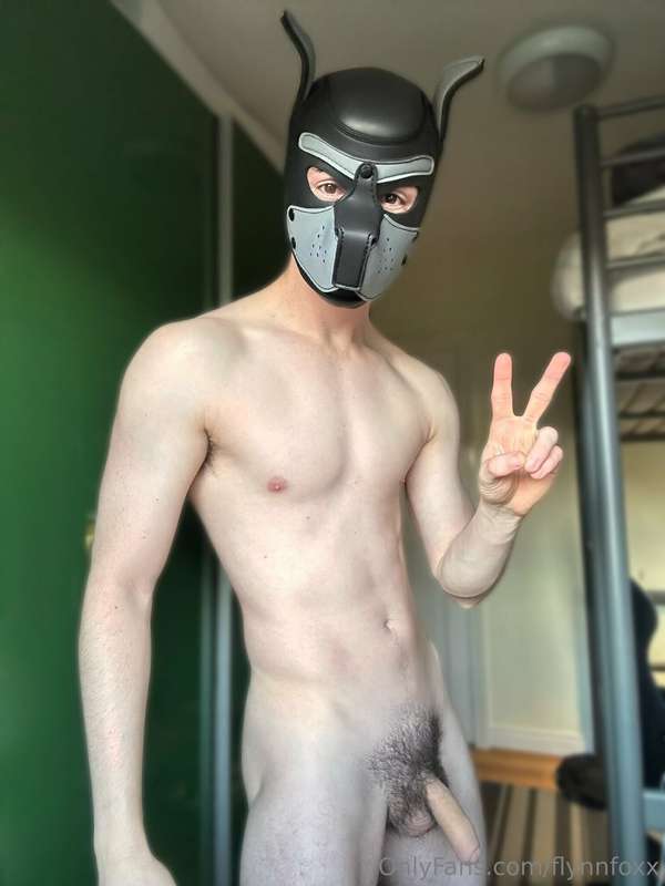 flynnfoxx