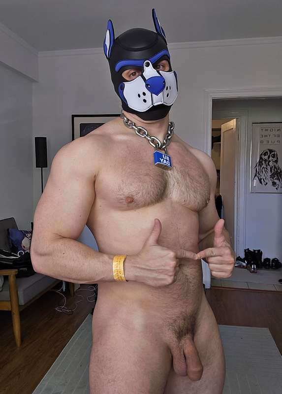 pupbuday
