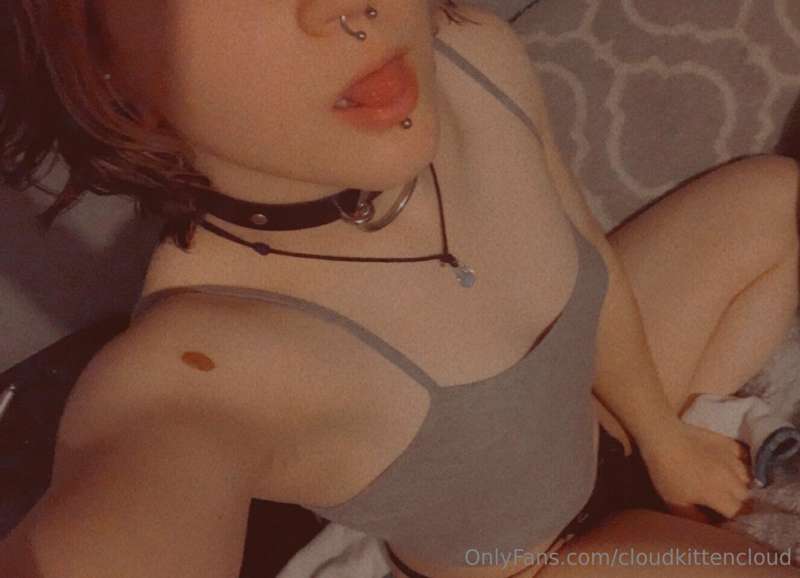 cloudkittencloud image #3