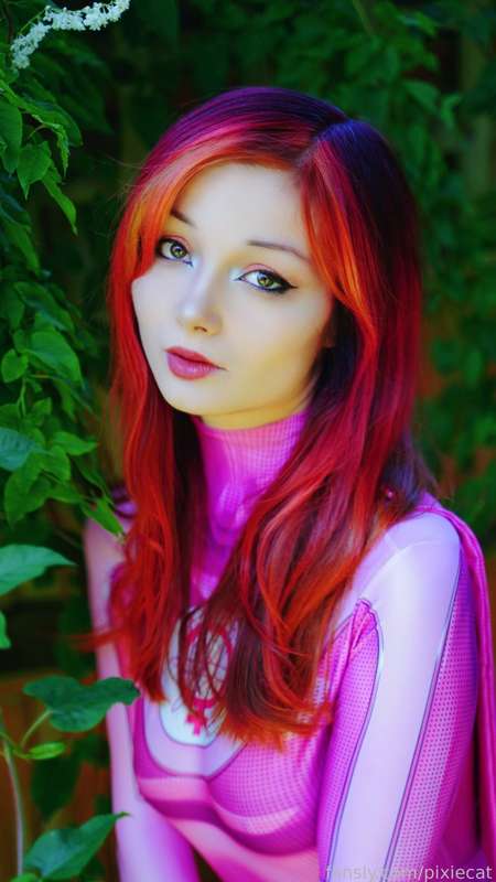 pixiecat image #31