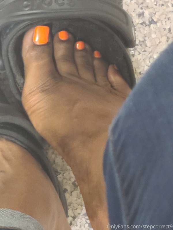 stepcorrect9 image #0
