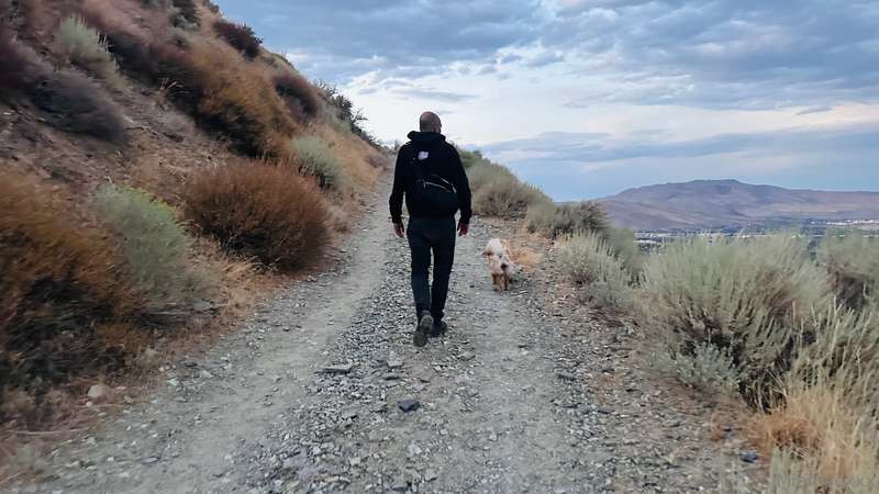 When I need to clear my mind. I take Peeps for a hike. 