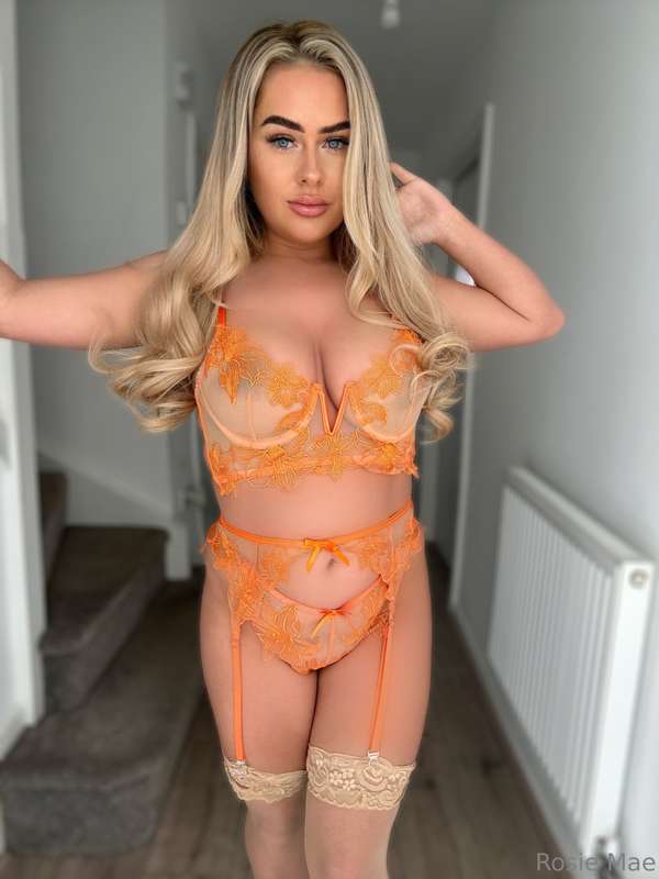 rosierendallx
