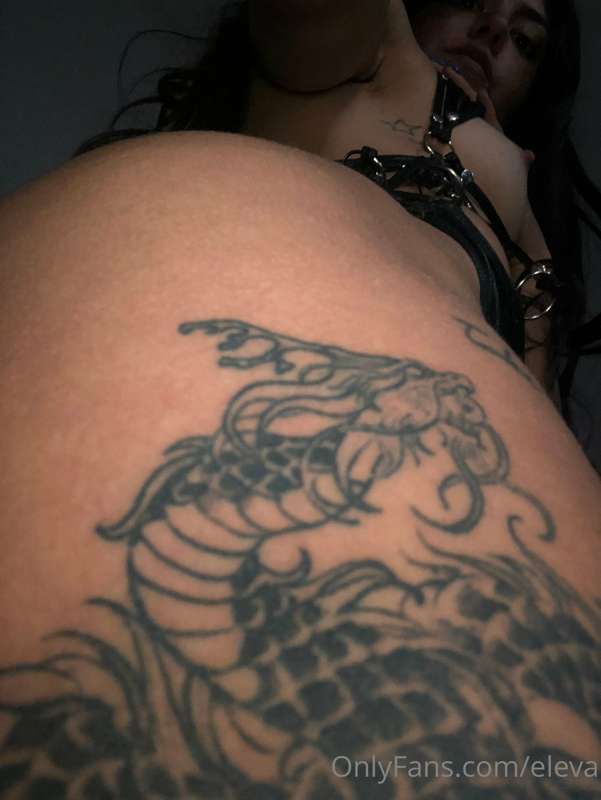 eleva image #2