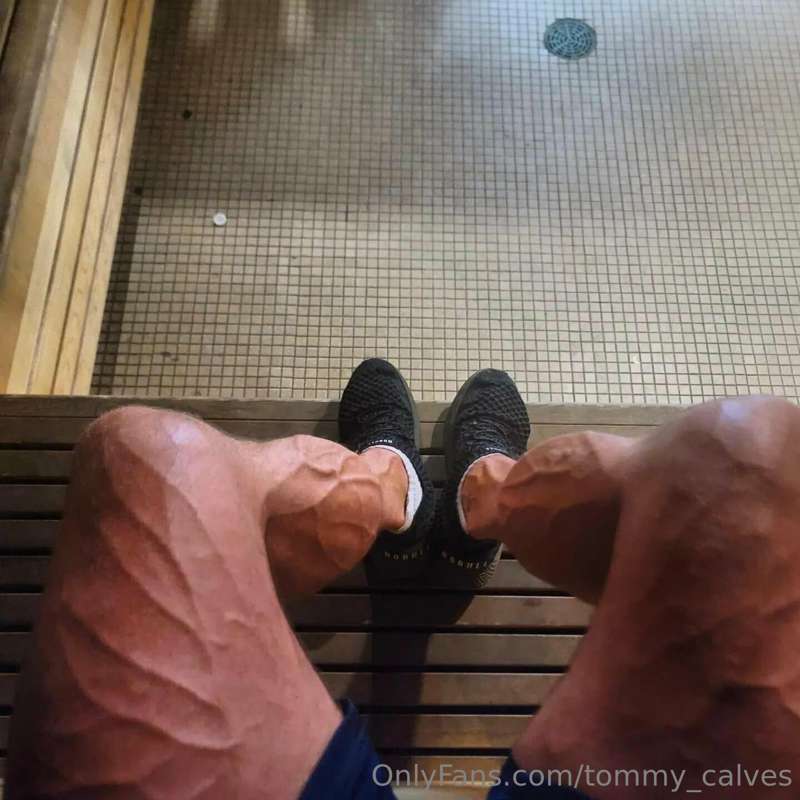 tommy_calves