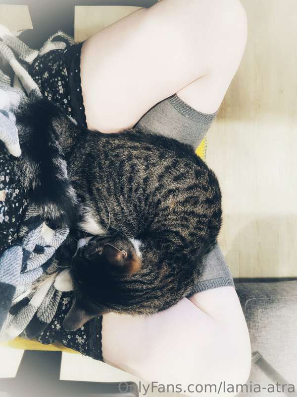 Pussies! 😻