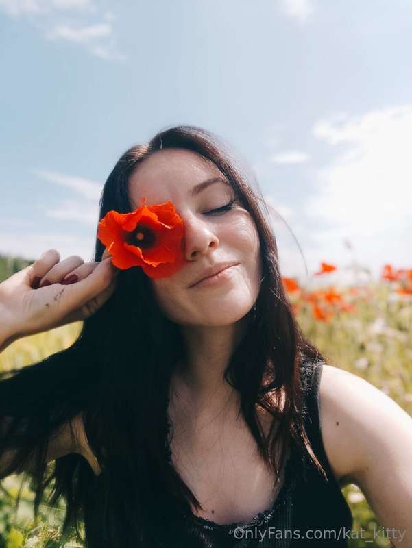 kat_kitty