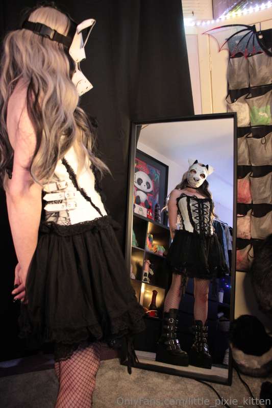 little_pixie_kitten image #7