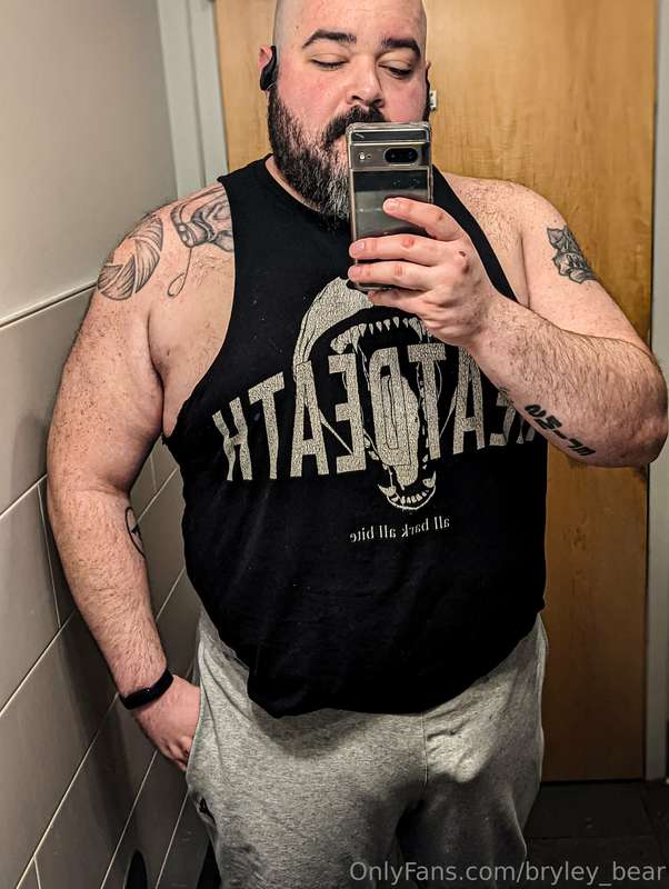bryley_bear